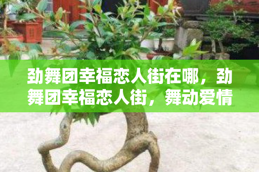 劲舞团幸福恋人街在哪图片