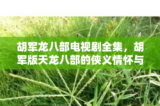 胡军龙八部电视剧全集，胡军版天龙八部的侠义情怀与经典再现