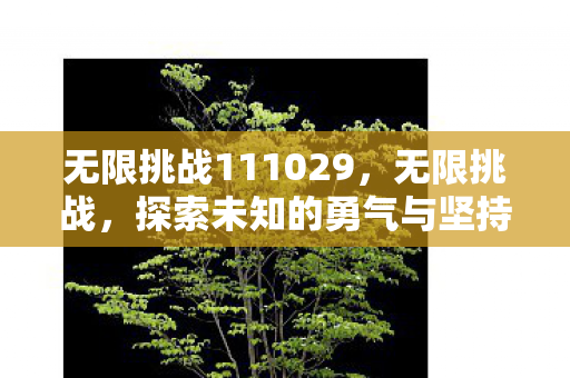无限挑战111029图片