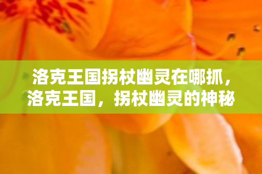 洛克王国拐杖幽灵在哪抓图片