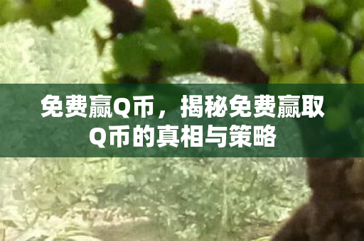 免费赢Q币，揭秘免费赢取Q币的真相与策略