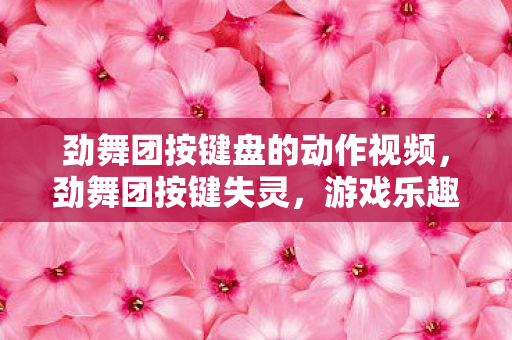 劲舞团按键盘的动作视频图片