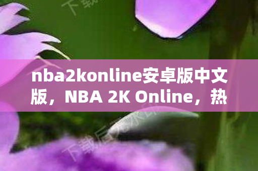 nba2konline安卓版中文版，NBA 2K Online，热血篮球，即刻下载体验！