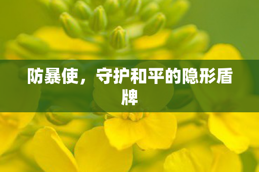 守护和平的隐形盾牌图片