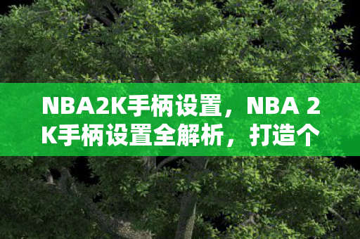 NBA 2K手柄设置全解析图片
