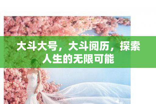大斗大号，大斗阅历，探索人生的无限可能