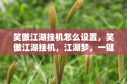 笑傲江湖挂机怎么设置图片