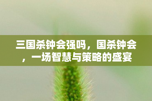 三国杀钟会强吗，国杀钟会，一场智慧与策略的盛宴