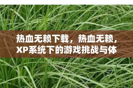 热血无赖下载，热血无赖，XP系统下的游戏挑战与体验