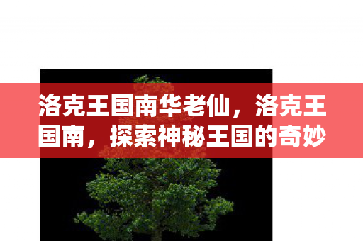 洛克王国南华老仙，洛克王国南，探索神秘王国的奇妙之旅