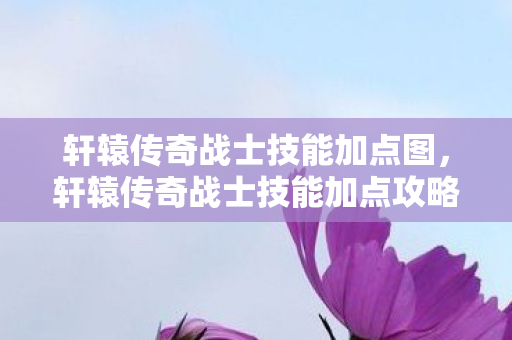 轩辕传奇战士技能加点图，轩辕传奇战士技能加点攻略，打造无敌战士