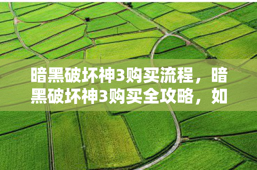 暗黑破坏神3购买流程，暗黑破坏神3购买全攻略，如何选择最适合你的版本？