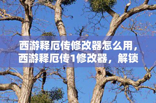 解锁游戏新境界的神奇工具图片