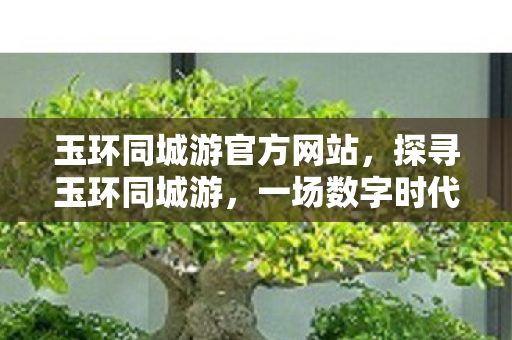 玉环同城游官方网站，探寻玉环同城游，一场数字时代的社交盛宴
