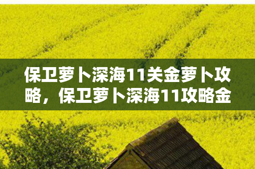 保卫萝卜深海11关金萝卜攻略，保卫萝卜深海11攻略金萝卜布阵图