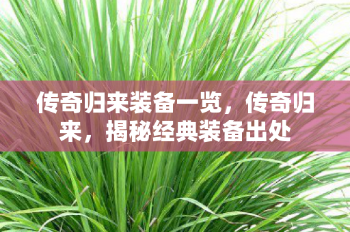 传奇归来装备一览，传奇归来，揭秘经典装备出处