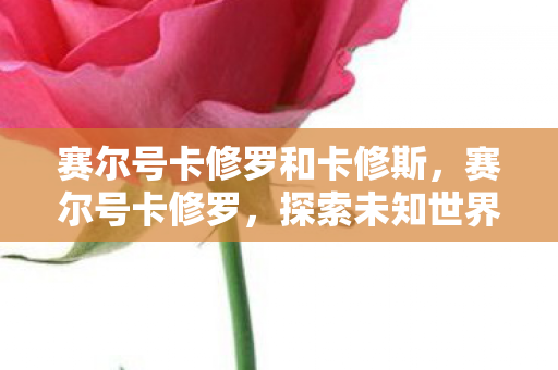 赛尔号卡修罗和卡修斯，赛尔号卡修罗，探索未知世界的勇者之旅