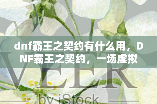 dnf霸王之契约有什么用，DNF霸王之契约，一场虚拟世界的契约之战