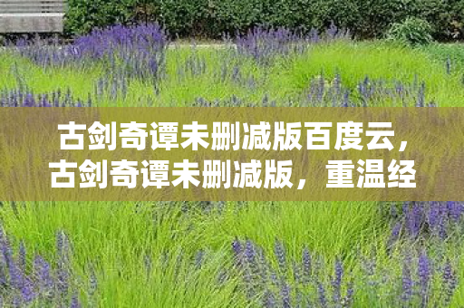 古剑奇谭未删减版百度云，古剑奇谭未删减版，重温经典，感受完整剧情的魅力