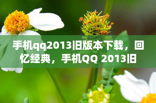 手机qq2013旧版本下载图片