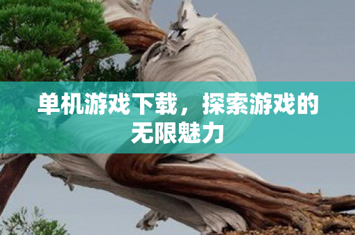 单机游戏下载,探索游戏的无限魅力 单机游戏下载,探索游戏的无限魅力