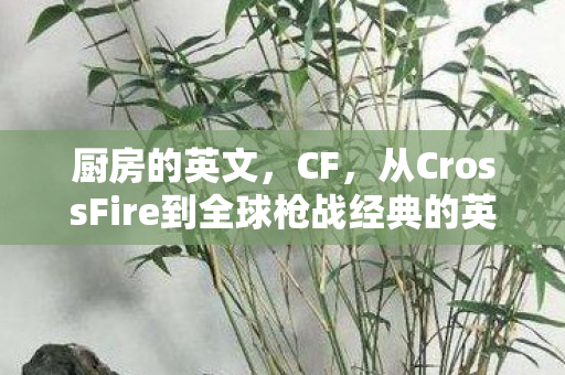 从CrossFire到全球枪战经典的英文之旅图片