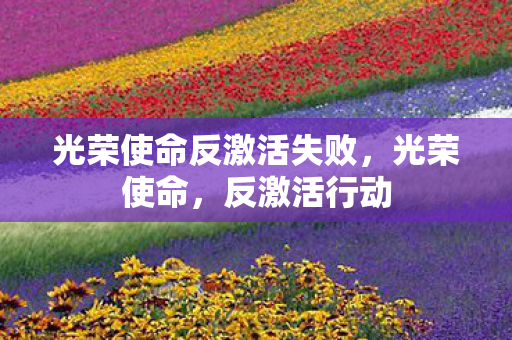 光荣使命反激活失败图片