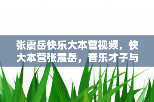 音乐才子与综艺新星的碰撞图片