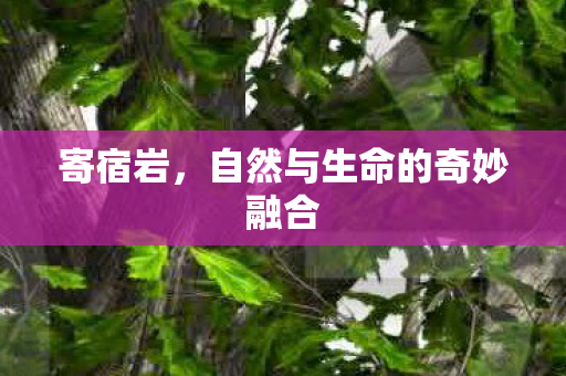 自然与生命的奇妙融合图片