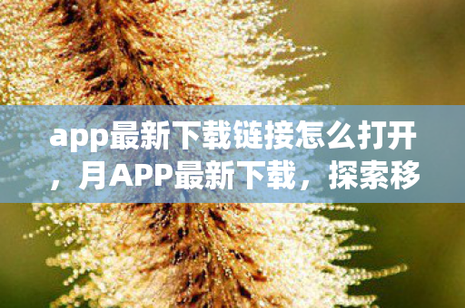 app最新下载链接怎么打开图片