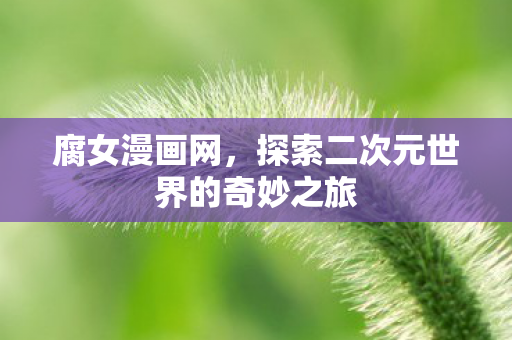 探索二次元世界的奇妙之旅图片