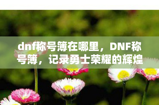 记录勇士荣耀的辉煌篇章图片