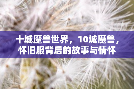 怀旧服背后的故事与情怀图片