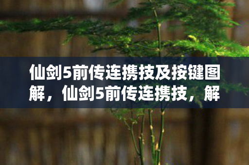仙剑5前传连携技及按键图解图片