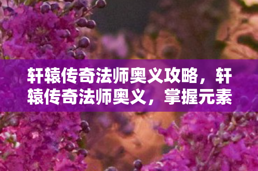 轩辕传奇法师奥义攻略图片