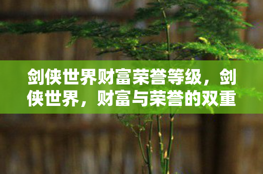 剑侠世界财富荣誉等级图片