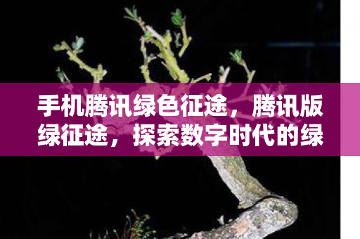 探索数字时代的绿色征途图片