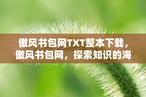 傲风书包网TXT整本下载图片