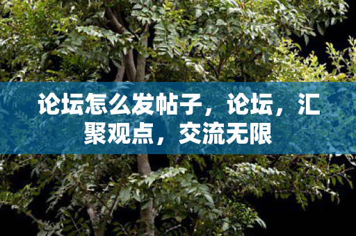 论坛怎么发帖子，论坛，汇聚观点，交流无限