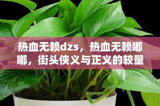 街头侠义与正义的较量图片