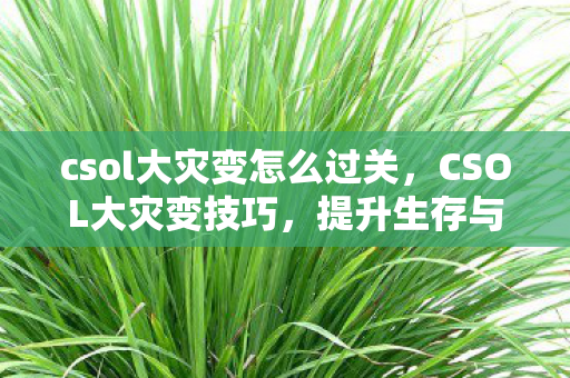 提升生存与战斗效率的实战指南图片