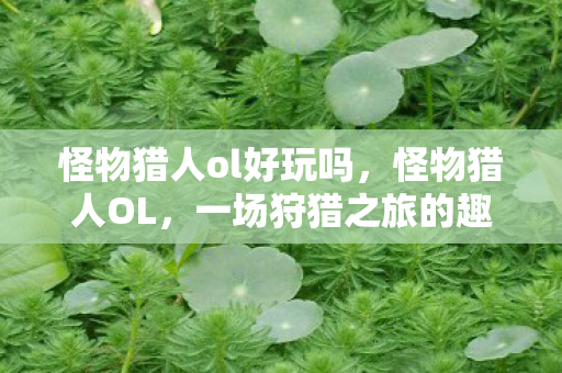 一场狩猎之旅的趣味探索图片