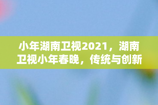 小年湖南卫视2021图片