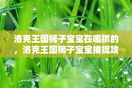 洛克王国狮子宝宝在哪抓的图片