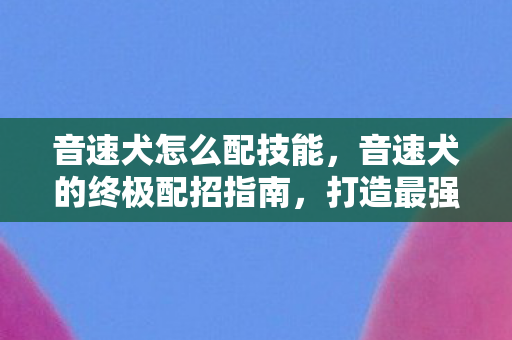 音速犬的终极配招指南图片