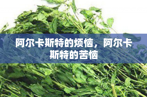 阿尔卡斯特的烦恼图片