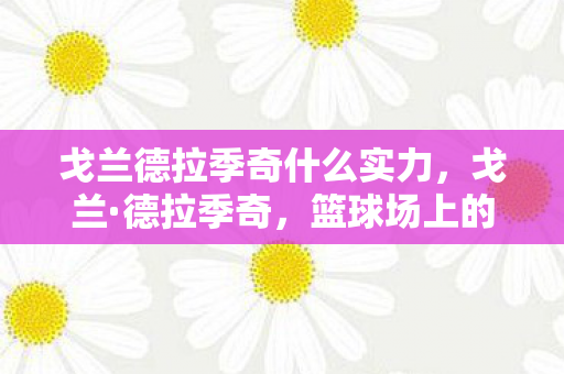 戈兰德拉季奇什么实力，戈兰·德拉季奇，篮球场上的坚韧力量