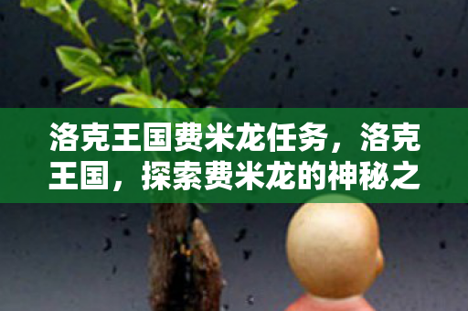 探索费米龙的神秘之旅图片