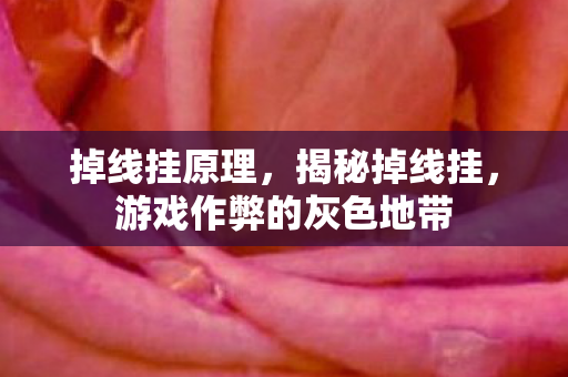 游戏作弊的灰色地带图片