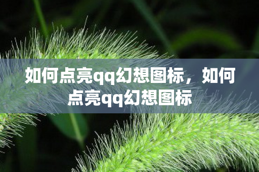 如何点亮qq幻想图标图片
